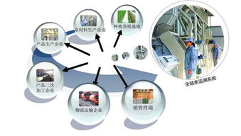 健康食品质量追溯系统定制开发 从程序到系统的全流程解析